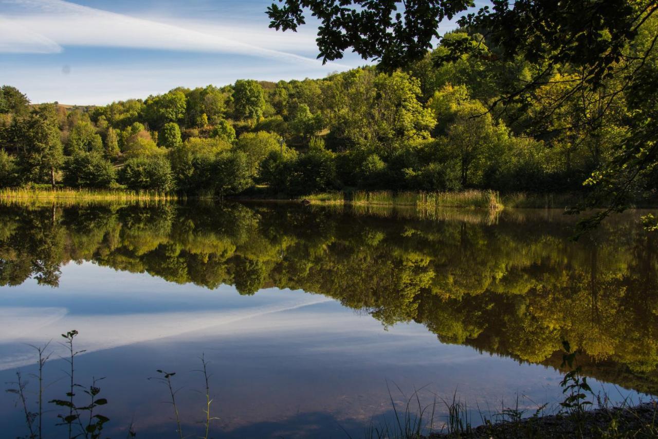 Le Lac Des Moines Condat  Exterior foto
