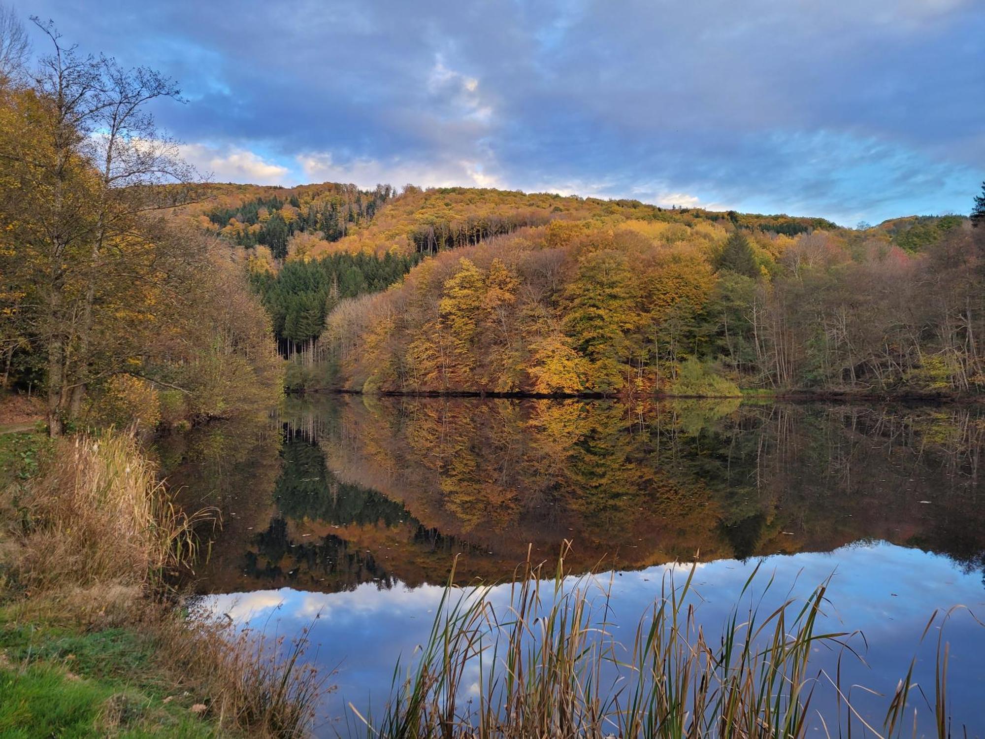 Le Lac Des Moines Condat  Exterior foto