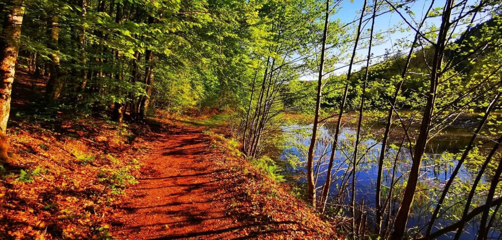 Le Lac Des Moines Condat  Exterior foto